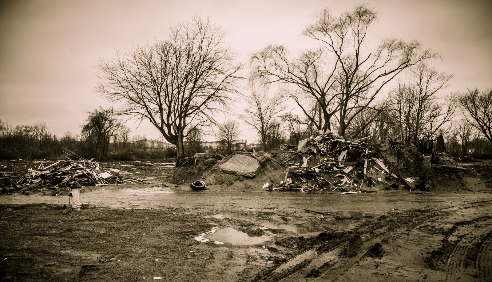 art-of-sandy-mo-staten island 2-17.jpg